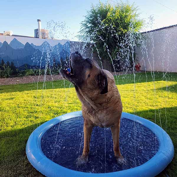 Esterilla de riego de verano para mascotas y niños.