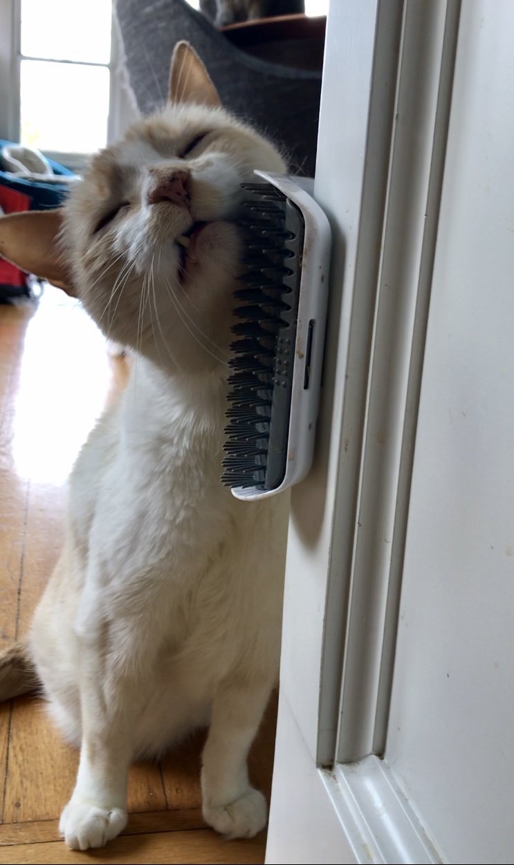 Cepillo de Autogrooming para Gatos