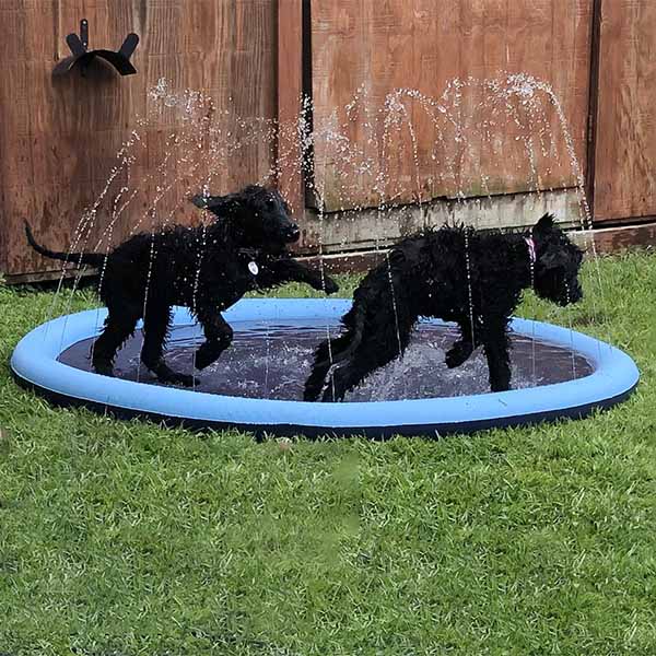 Esterilla de riego de verano para mascotas y niños.